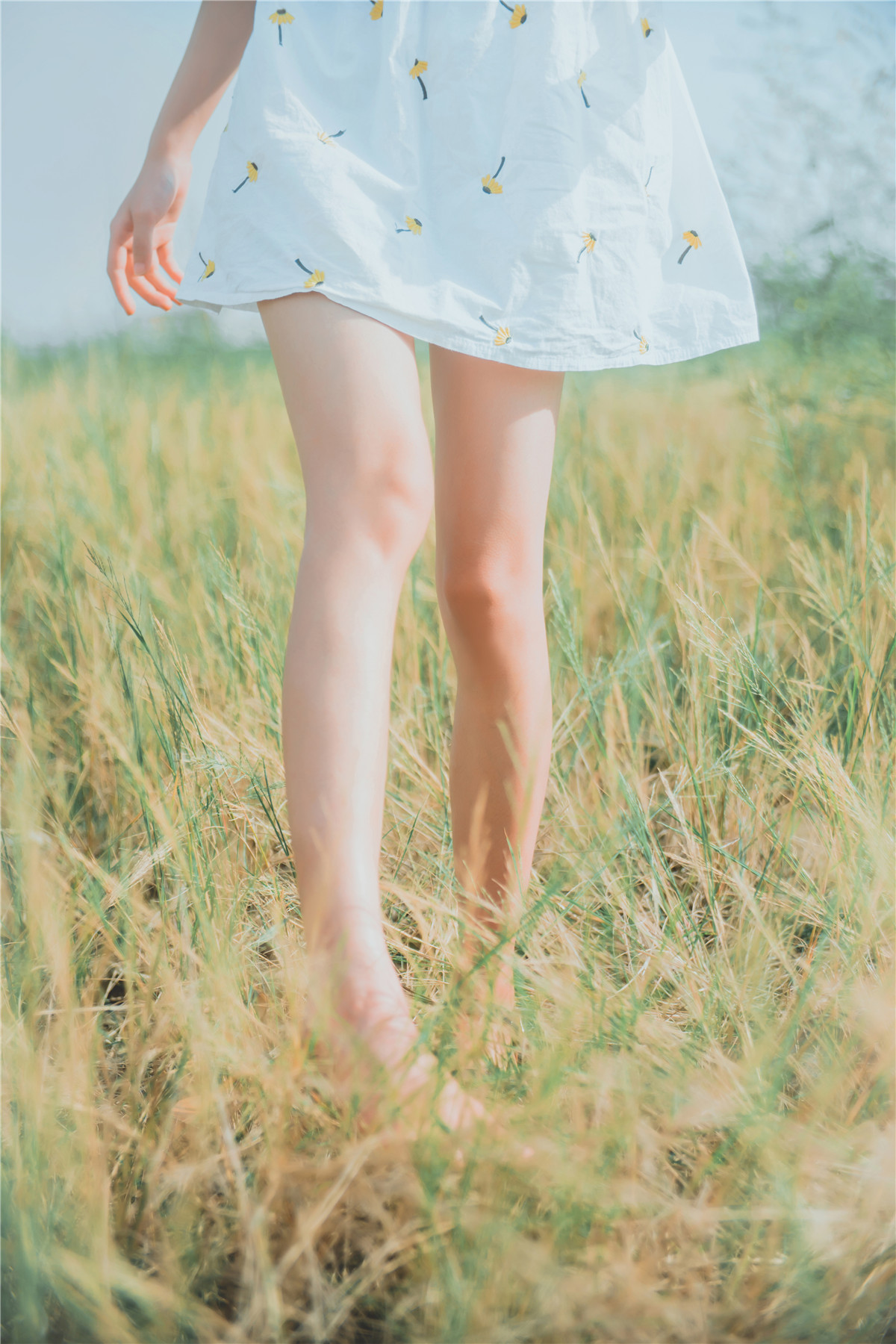 桜桃喵 田野 [29P-289MB]