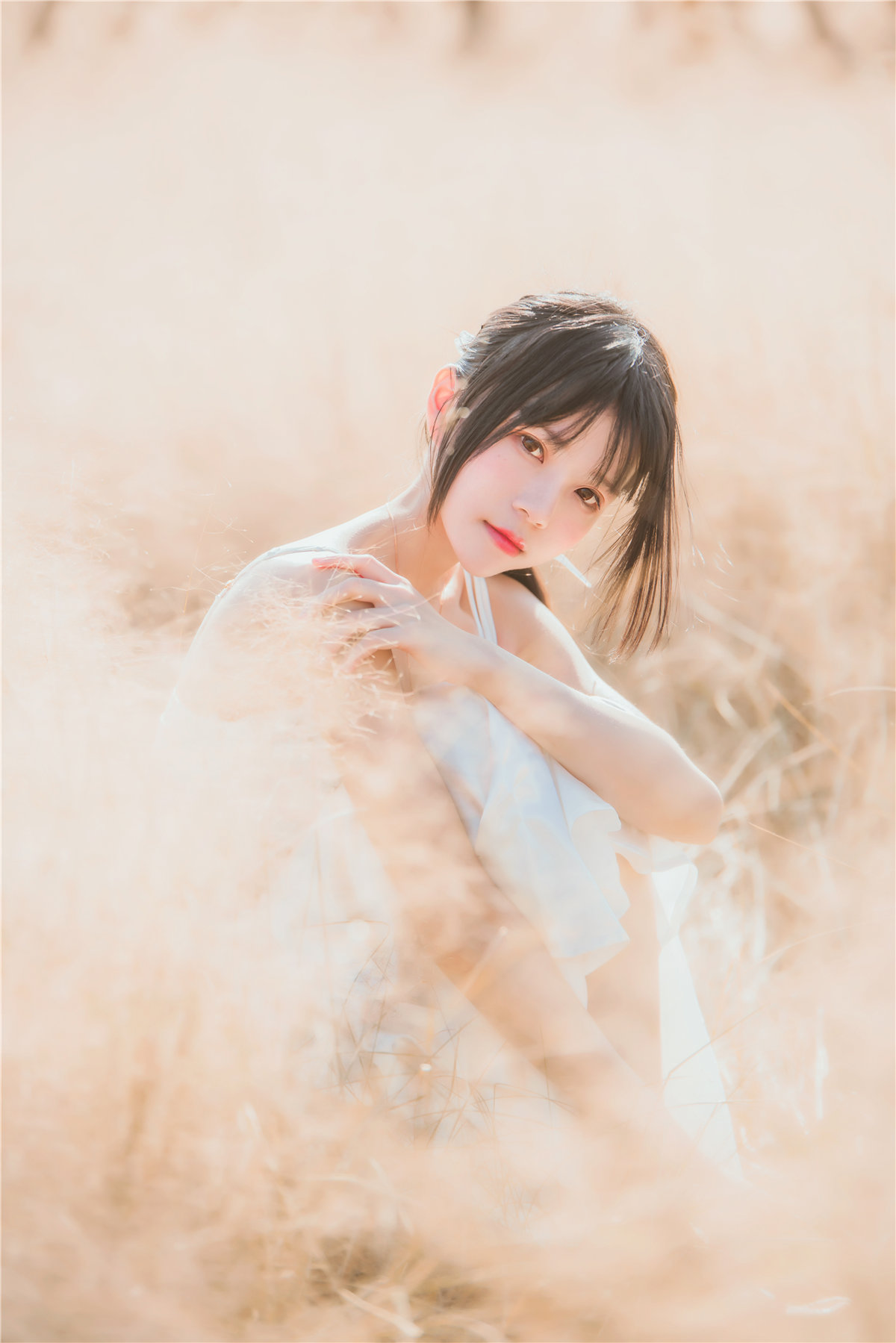 桜桃喵 原野上的浪漫 [49P-674MB]